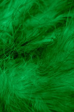 Yeşil tavuk tüylerinin makro fotoğrafı. arkaplan veya doku
