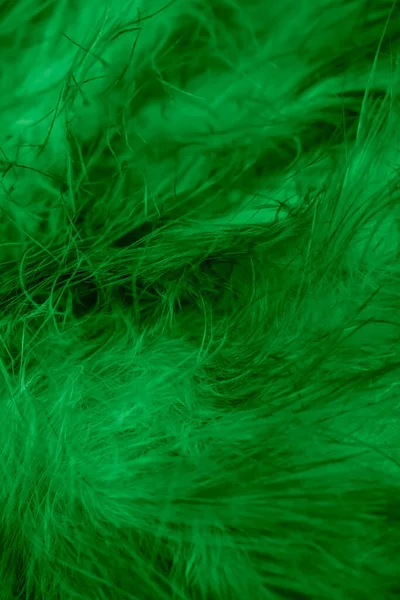 Yeşil tavuk tüylerinin makro fotoğrafı. arkaplan veya doku