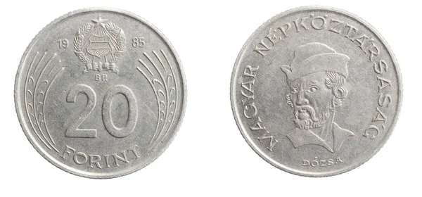 Ουγγαρία Είκοσι Φιορίνι Νόμισμα Λευκό Απομονωμένο Φόντο — Φωτογραφία Αρχείου