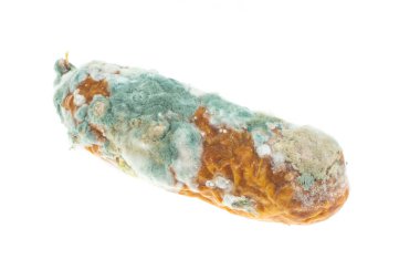 Beyaz izole edilmiş arka planda küflü sosis