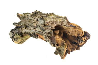 Beyaz izole arkaplanda eski bir tahta parçası.