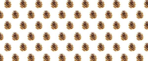 Beyaz arkaplanda siyah kozalak