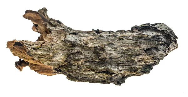 Altes Stück Holz Auf Weißem Isoliertem Hintergrund — Stockfoto
