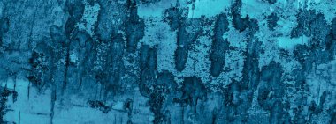 Mavi huş ağacı kabuğu görünür bir dokuya sahiptir. arkaplan