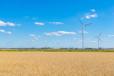 Güzel güneşli bir günde mavi gökyüzünün arka planında tarım arazisi