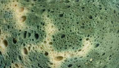 Ekmeğin üzerinde sarı ve yeşil küf. arkaplan