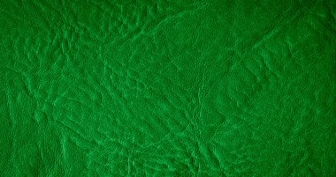 ilginç bir dokusu olan yeşil doğal deri.