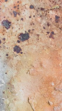 görünür detaylara sahip kırmızı tuğla