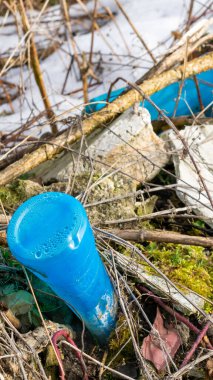 Vahşi çöp yığını. Kalan camlar, ormandaki plastikler.
