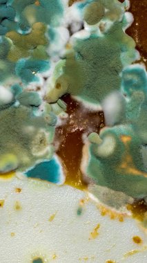 Yeşil ve beyaz kalıp makro fotoğraf. arkaplan