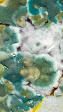 Yeşil ve beyaz kalıp makro fotoğraf. arkaplan