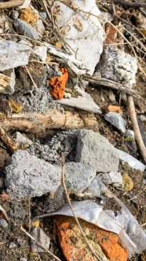 Vahşi çöp yığını. Kalan camlar, ormandaki plastikler.