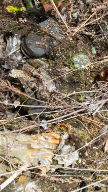 Vahşi çöp yığını. Kalan camlar, ormandaki plastikler.