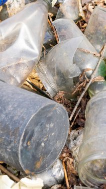 Vahşi çöp yığını. Kalan camlar, ormandaki plastikler.