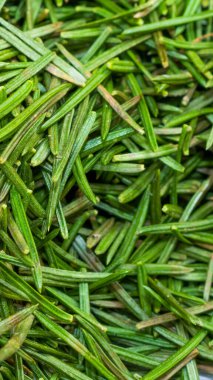 Yeşil ladin iğneleri görünür detaylar içeriyor. arkaplan veya doku