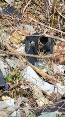 Vahşi çöp yığını. Kalan camlar, ormandaki plastikler.