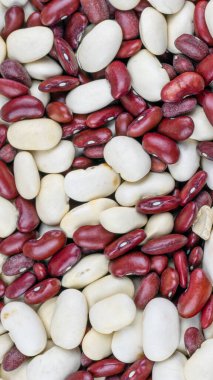 Karışık beyaz ve kırmızı fasulye. arkaplan veya doku\