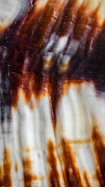 Beyaz ve kahverengi deniz salyangozu kabuğu. arkaplan