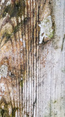 Beyaz boyayla boyanmış eski bir tahta. arkaplan veya doku