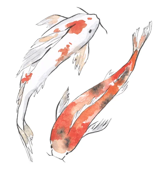 Two Koi Fish White Red White Ground — Stock Photo, Image