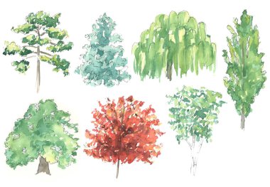 Yedi farklı ağaç türü.