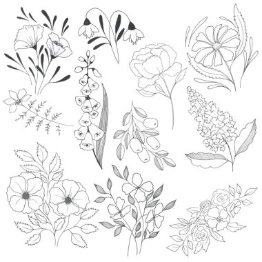 Beyaz arkaplanda farklı grafik çiçekleri