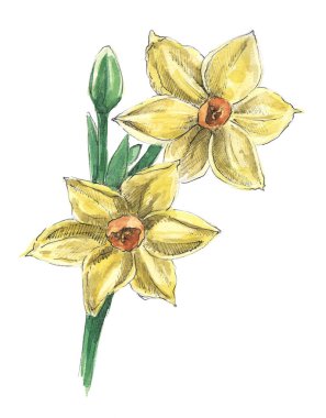 Grafikler eklenmiş suluboya sarı çiçekler