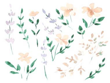 Bir buket çiçek ve yapraklı suluboya desenler.