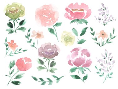 Çiçek buketi ve suluboya çiçek desenleri için ayarlanmış.