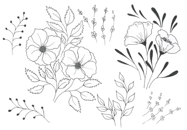 Grafische Doodles Van Bloemen Bladeren Een Witte Achtergrond — Stockfoto