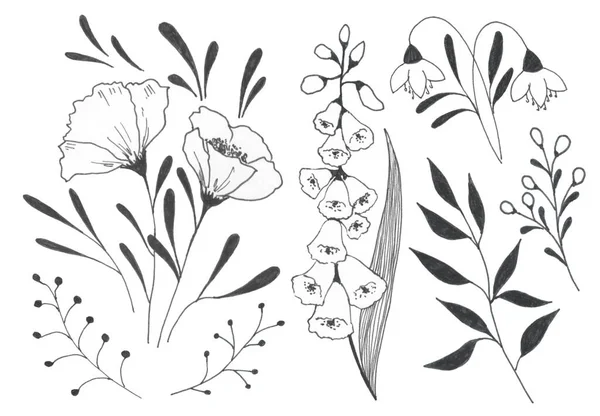 Grafische Doodles Van Bloemen Een Witte Achtergrond — Stockfoto