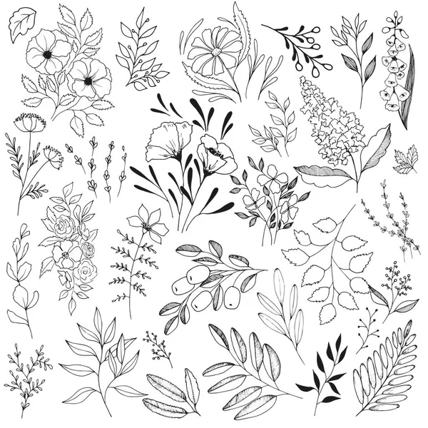 Grote Set Bladeren Bloemen — Stockvector