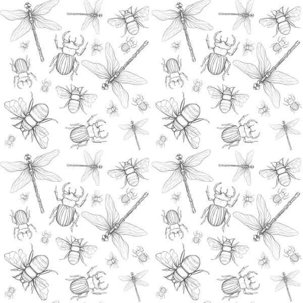 Niekończący Się Wzór Ważki Chrząszcza Pszczoły Białym Tle — Zdjęcie stockowe