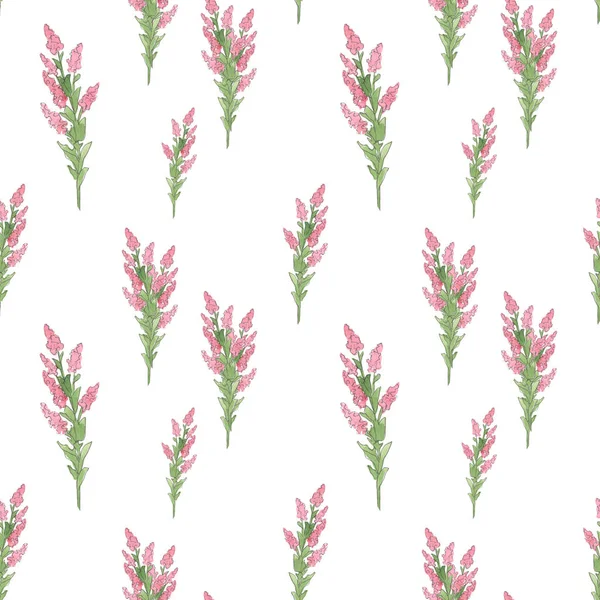 Padrão Infinito Flores Silvestres Rosa Branco — Fotografia de Stock
