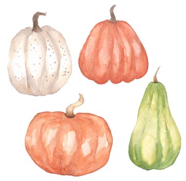 Dört farklı renkte balkabağı seti