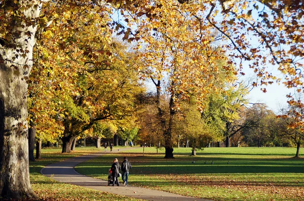 Paseo de otoño en el parque — Foto de Stock