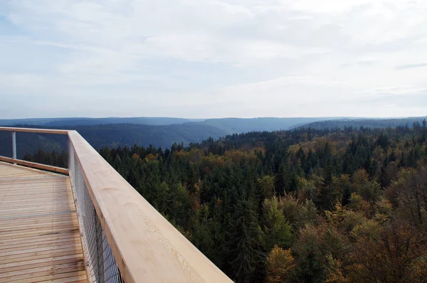 Vista desde la torre del sendero de los árboles Bad Wildbad — Foto de Stock