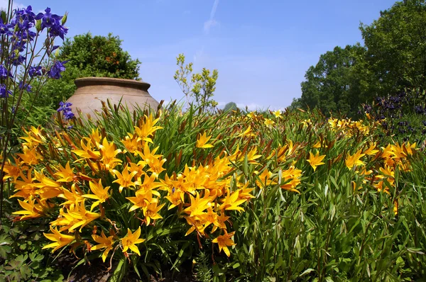 Żółty Daylily świeci przed starożytnego Amfora — Zdjęcie stockowe