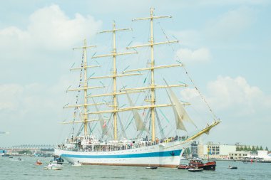 Tallship yelken 2015 Amsterdam sırasında