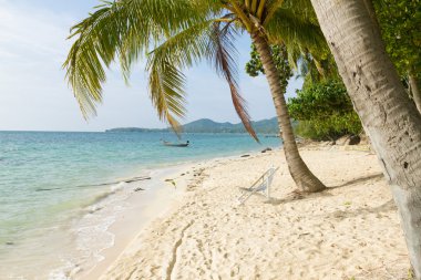 Güzel plaj portre hurma ile adanın