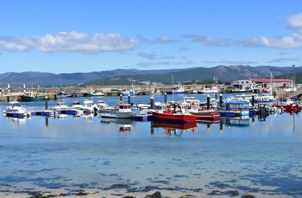 Portosin Espanha Junho 2020 Baía Com Navios Pesca Galegos Porto — Fotografia de Stock