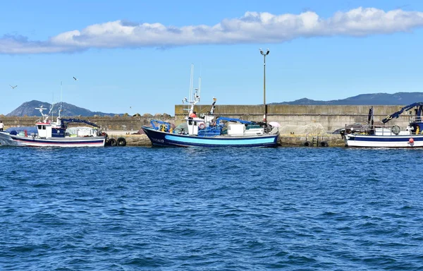 Portosin Spain June 2020 Harbor Galician Fishing Vessels Famous Rias — Fotografia de Stock