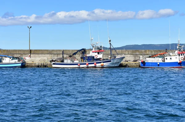 Portosin Španělsko Června2020 Přístavní Galicijská Rybářská Plavidla Slavném Rias Baixas — Stock fotografie