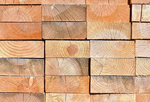 Pine Tree Cut Wood Background Wood Texture Sun Light — Stock Photo, Image