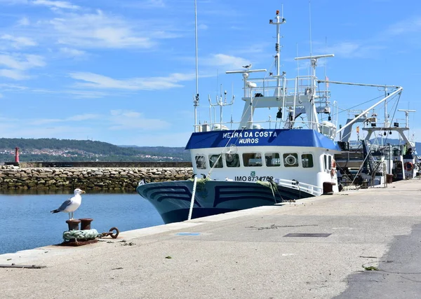 Muros Espagne Août 2020 Bateau Pêche Galicien Dans Port Avec — Photo