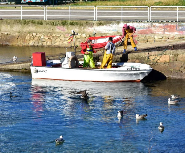 Portosin Španělsko Prosince2020 Rybářský Člun Rybáři Pracující Rybářské Síti Slavném — Stock fotografie