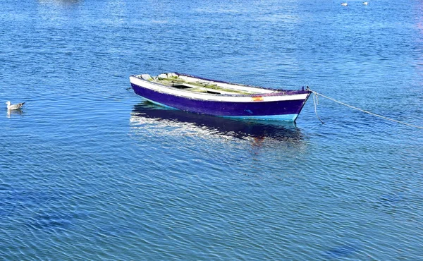 Starý Modrý Dřevěný Malý Člun Plovoucí Moři Slavného Rias Baixas — Stock fotografie