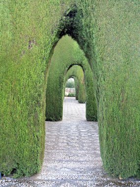 Alhambra Granada dekoratif süs Bahçe bush kemerli