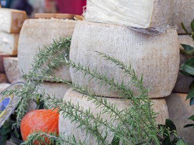  formların adil bir tabloda İtalyan pecorino peyniri
