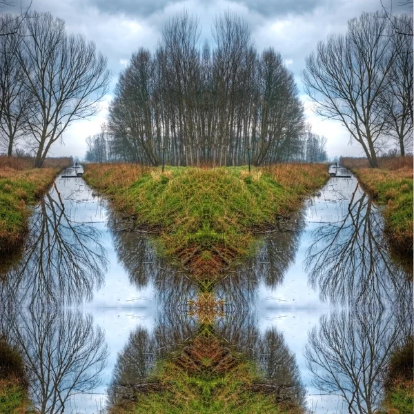 Symmetric rower in a swamp — Stock Photo, Image